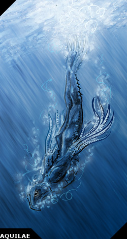 Aquilae